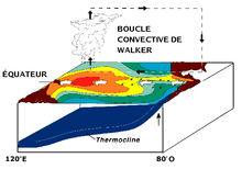 Boucle convective de Walker au dessus de l'équateur