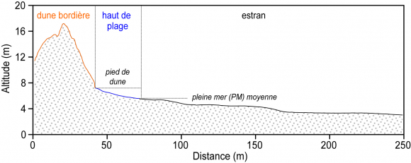 Illustration des limites utilisées pour le calcul des variations de volumes sédimentaires de la dune, du haut de plage et de l’estran