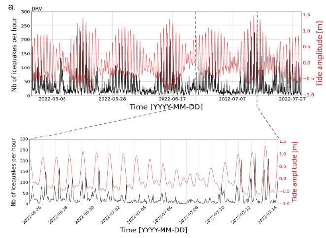 Le Bris & al 2025.jpg Exemple d'occurrence de séismes glaciaires (courbes noires, nb séismes glaciaires par heure) comparés aux amplitudes de marée locales mesurées au marégraphe Dumont d'Urville