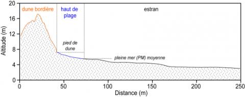Illustration des limites utilisées pour le calcul des variations de volumes sédimentaires de la dune, du haut de plage et de l’estran