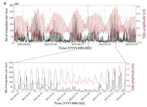 Le Bris & al 2025.jpg Exemple d'occurrence de séismes glaciaires (courbes noires, nb séismes glaciaires par heure) comparés aux amplitudes de marée locales mesurées au marégraphe Dumont d'Urville