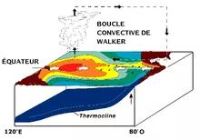 Boucle convective de Walker au dessus de l'équateur
