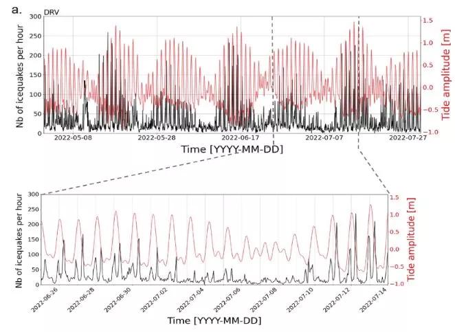 Le Bris & al 2025.jpg Exemple d'occurrence de séismes glaciaires (courbes noires, nb séismes glaciaires par heure) comparés aux amplitudes de marée locales mesurées au marégraphe Dumont d'Urville